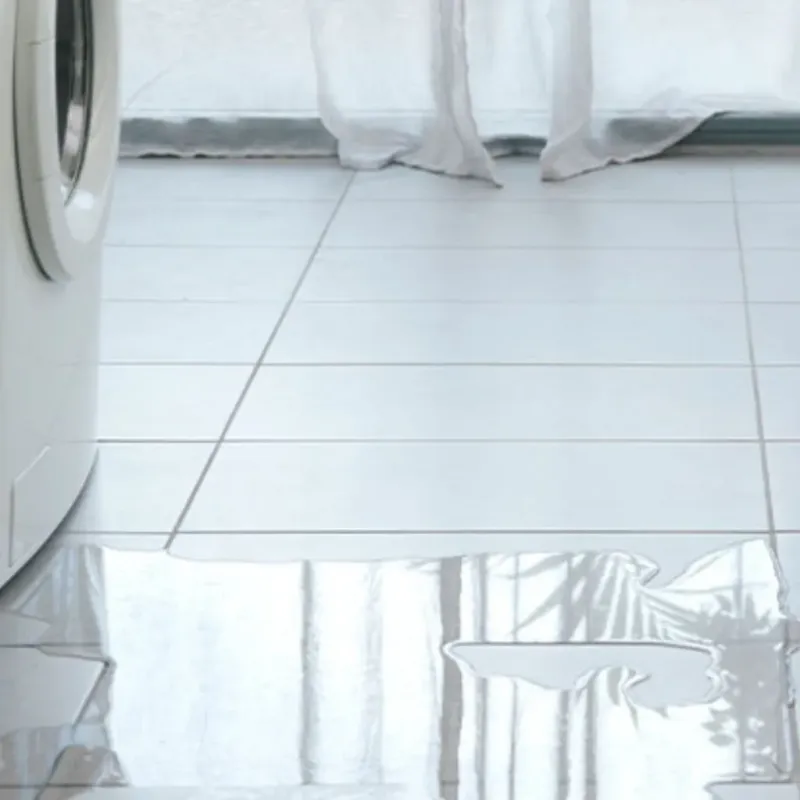 Appliance Leak Cleanup in Loyola, CA